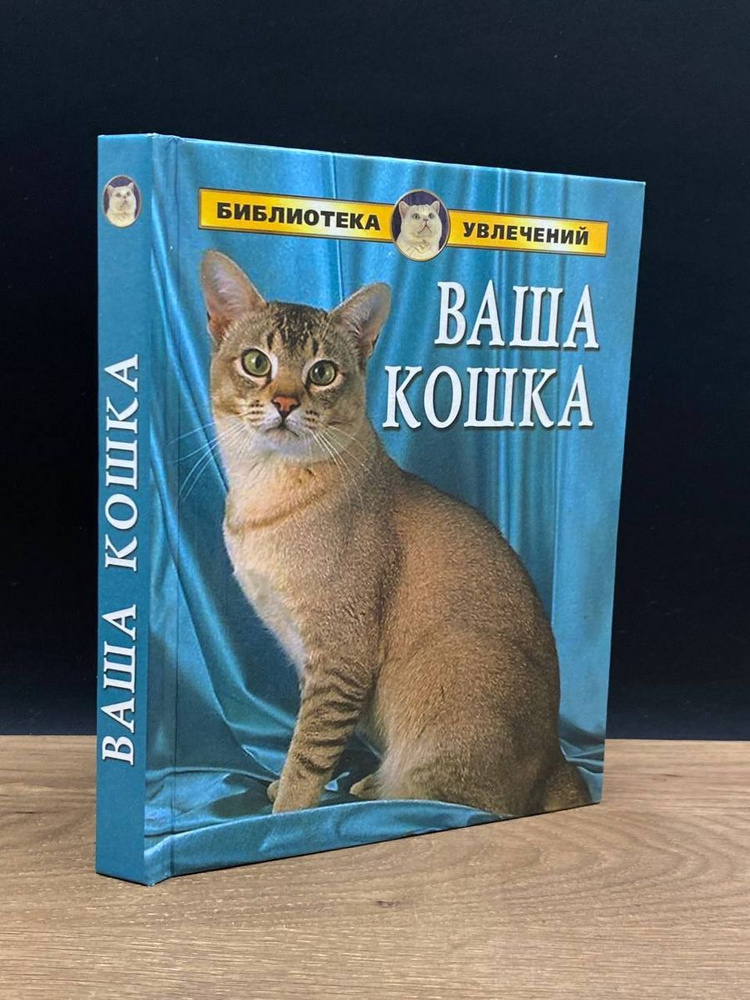 Ваша кошка #1