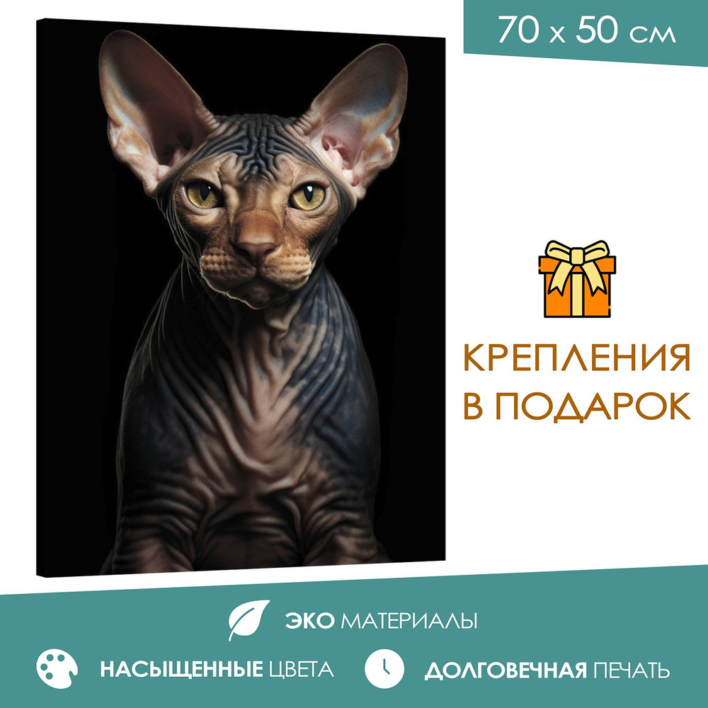 365home Картина "Кошка-сфинкс: голая красота", 70  х 50 см #1