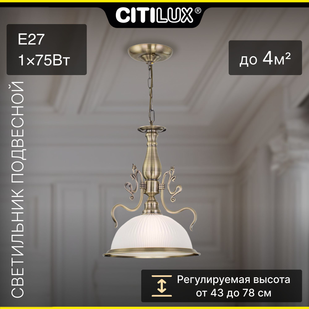 Citilux Идальго CL434111 Подвесной светильник #1