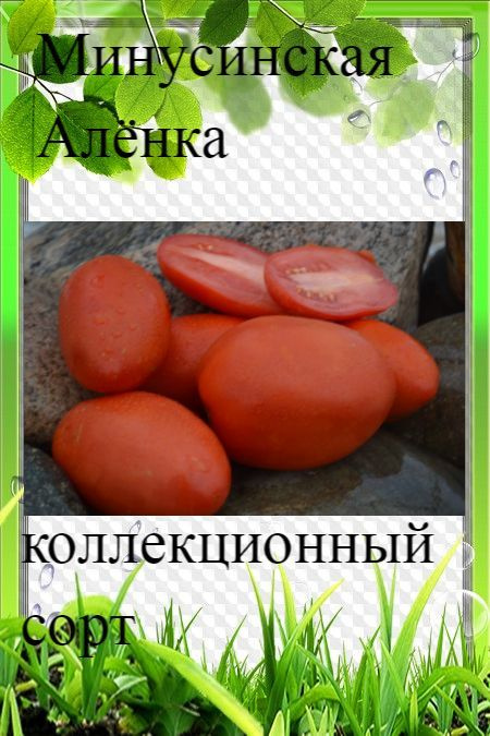 Семена томата Минусинская Алёнка #1