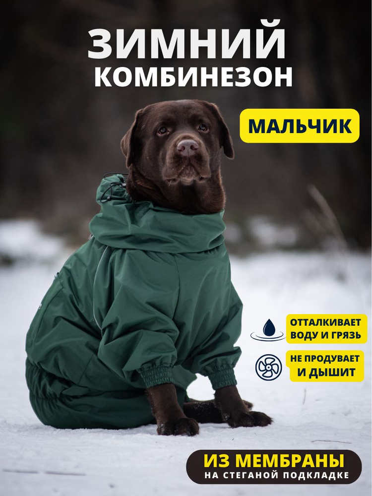 Комбинезон зимний для собак средних пород SNOW, 35м (кобель), авокадо, L  #1