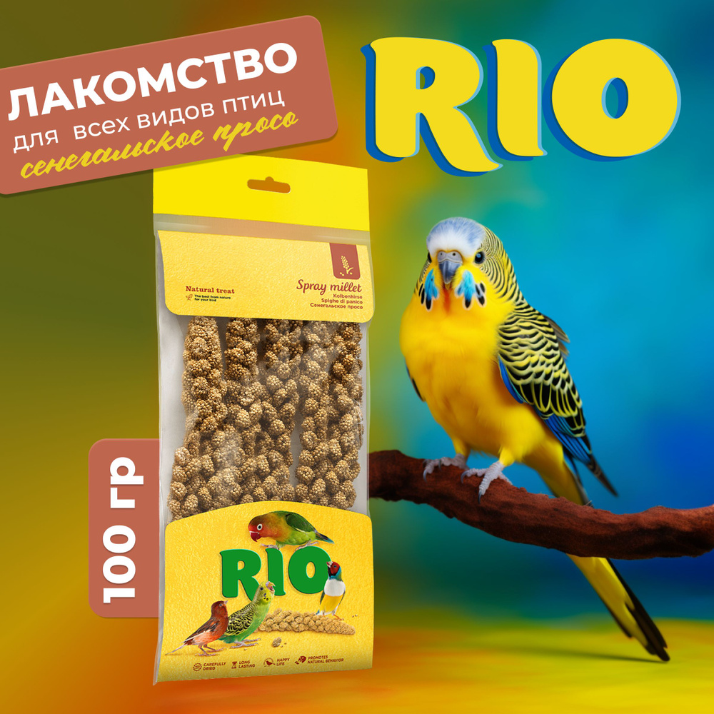 RIO Сенегальское просо в колосьях. Лакомство для всех видов птиц, 100 г  #1