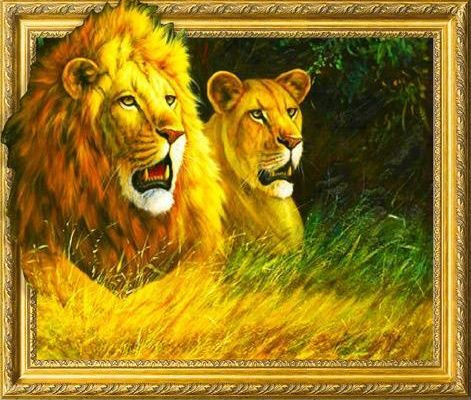 Алмазная мозаика на подрамнике 5D с круглыми стразами 40х50 см Семья львов  #1