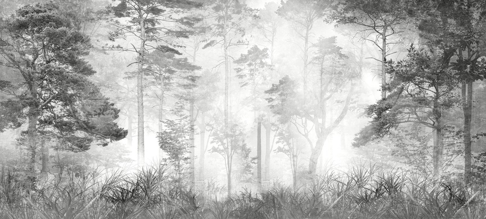Фотообои GrandPik 10257 Лофт "Лес в тумане", 550х250 см(Ширина х Высота)  #1