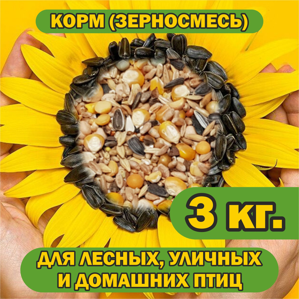 Корм 3 кг. для лесных, уличных и домашних птиц - купить с доставкой по ...