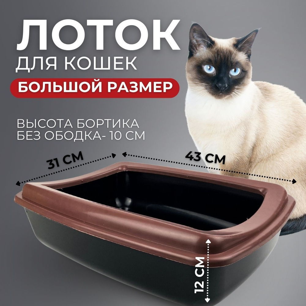 Лоток для кошек с высоким бортом 43х31х12см - купить с доставкой по ...