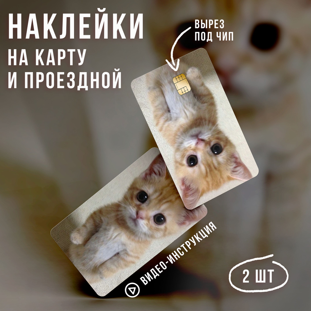 Виниловая наклейка на карту банковскую мем Кот Чечил // наклейки с котами  #1