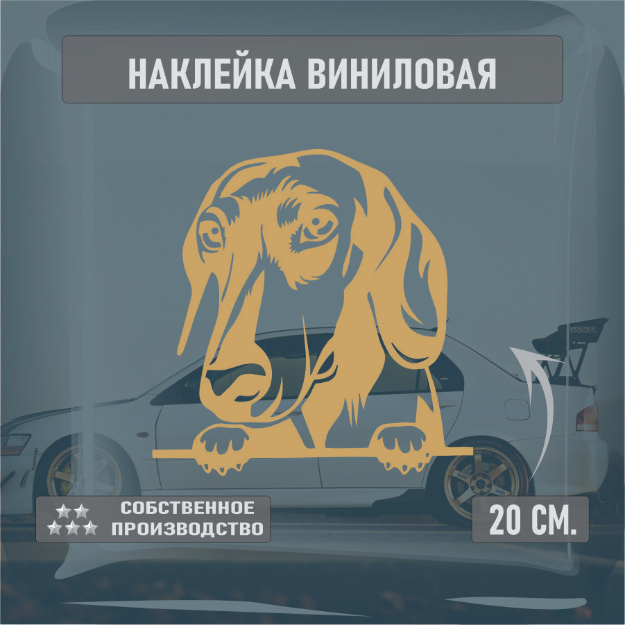 Наклейки на автомобиль, на стекло заднее, Виниловая наклейка - Собака , Такса, собака в машине 20см. #1