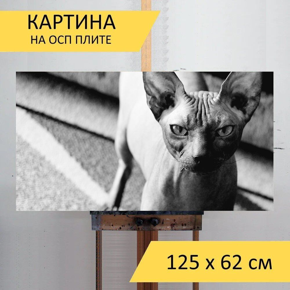 LotsPrints Картина "Сфинкс, кошки, домашний питомец 73", 125 х 62 см  #1