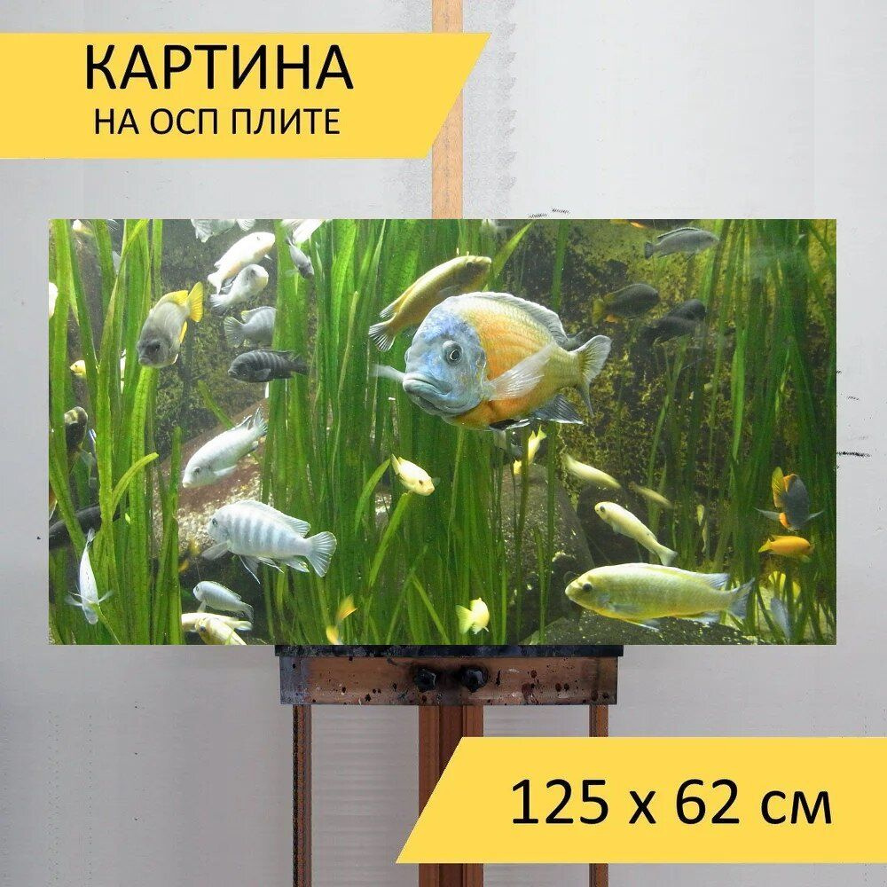 LotsPrints Картина "Рыбы, вода, животное 97", 125  х 62 см #1