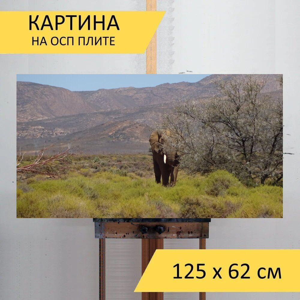 LotsPrints Картина "Слон, толстокожий, фауна 92", 125  х 62 см #1