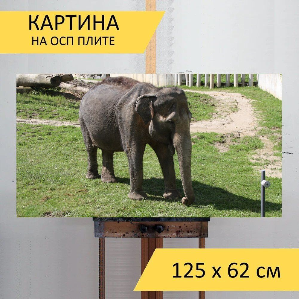 LotsPrints Картина "Слон, слоненок, хороший 98", 125  х 62 см #1