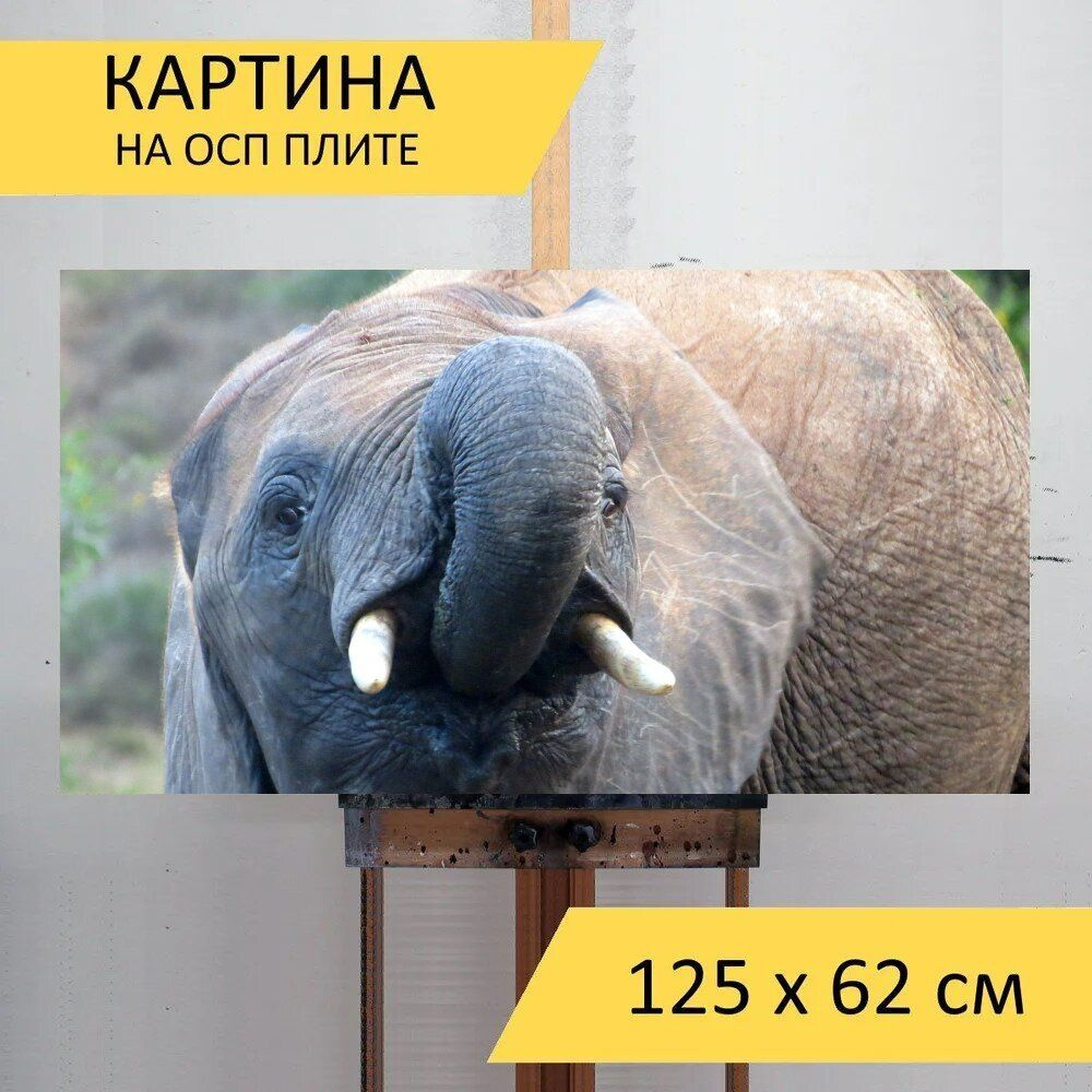 LotsPrints Картина "Слон, южная африка, национальный парк 36", 125 х 62 см  #1