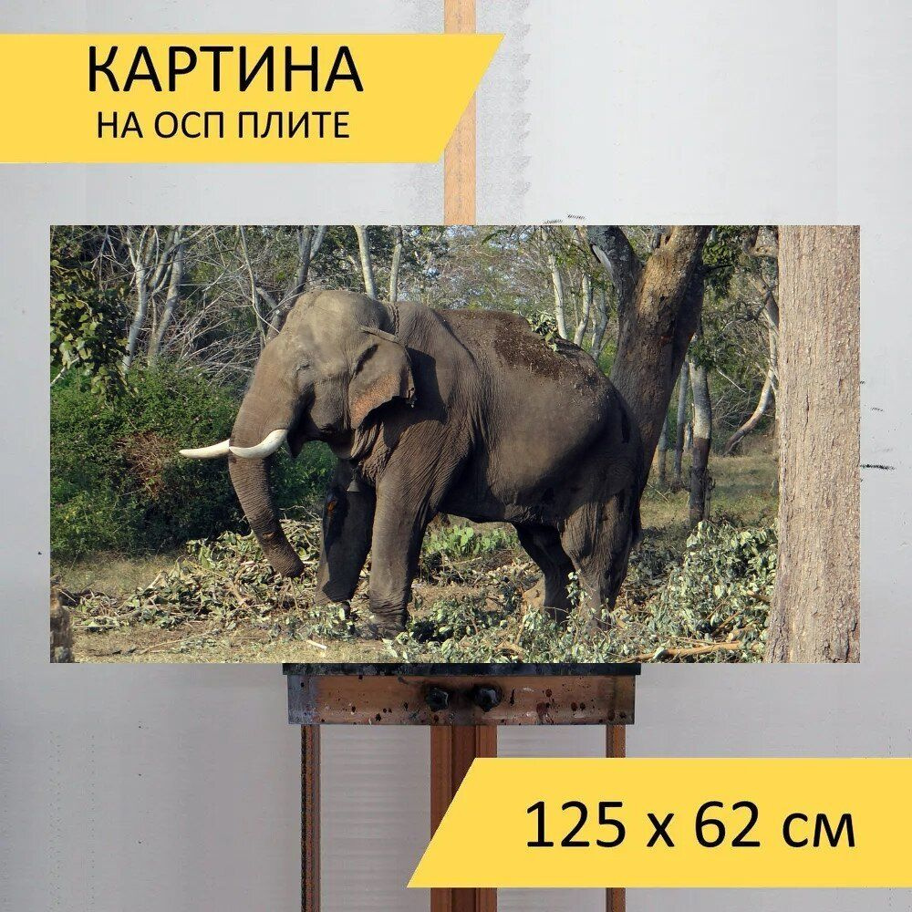 LotsPrints Картина "Слон, индия, бивень 62", 125  х 62 см #1
