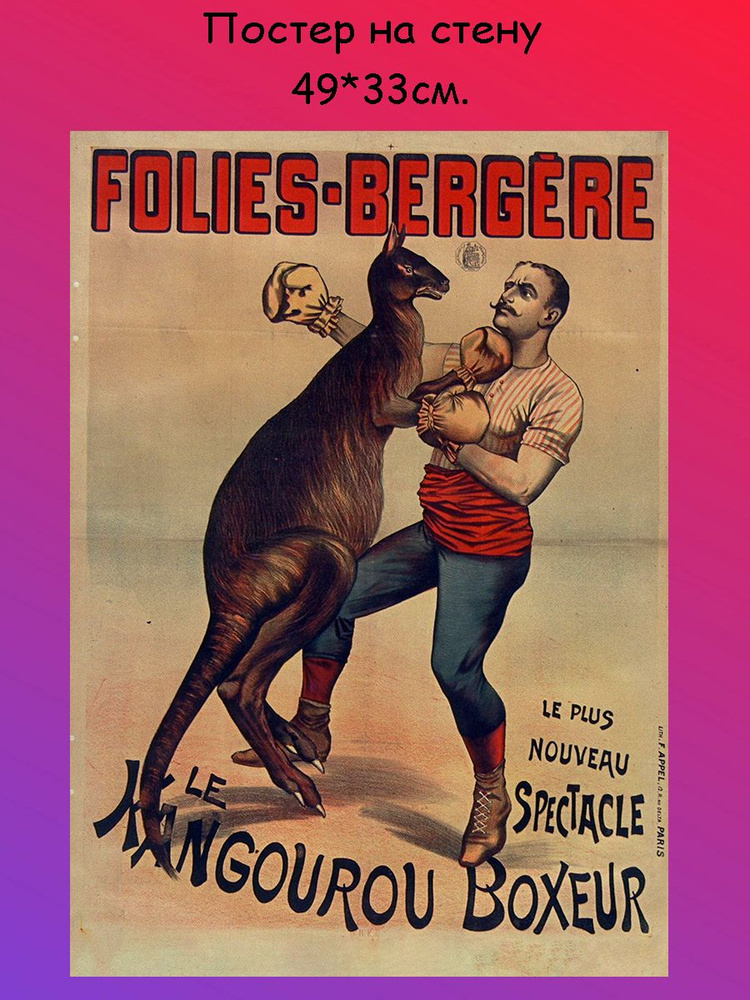 Постер, плакат на стену Кенгуру Боксер 49х33 см (А3+) #1
