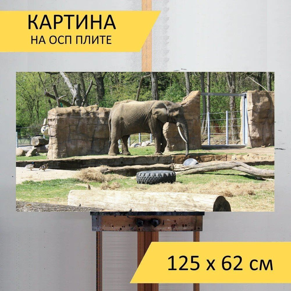 LotsPrints Картина "Слон, животное, млекопитающее 10", 125 х 62 см  #1