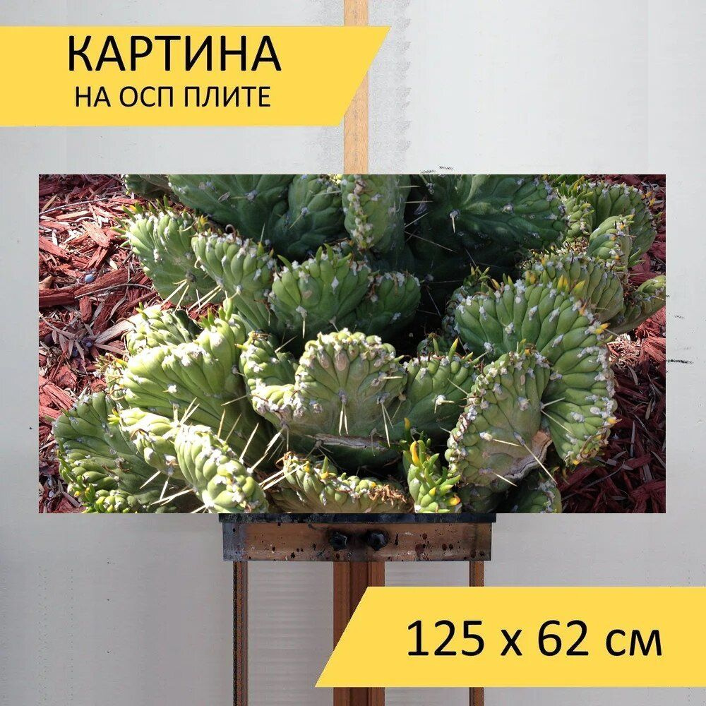 LotsPrints Картина "Кактус, шипы, завод 99", 125  х 62 см #1