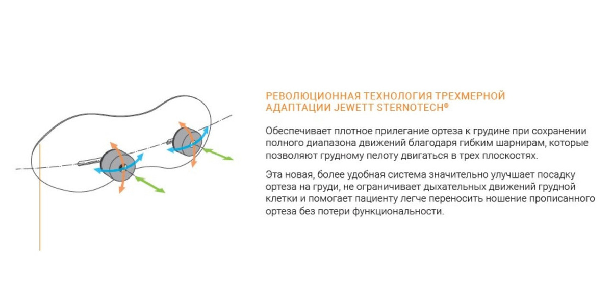 Текстовое описание изображения