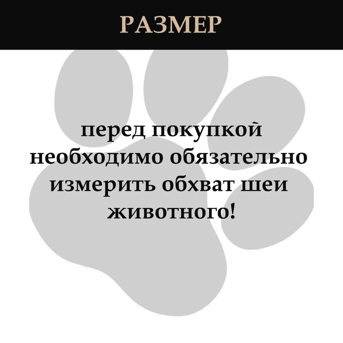 Текст при отключенной в браузере загрузке изображений