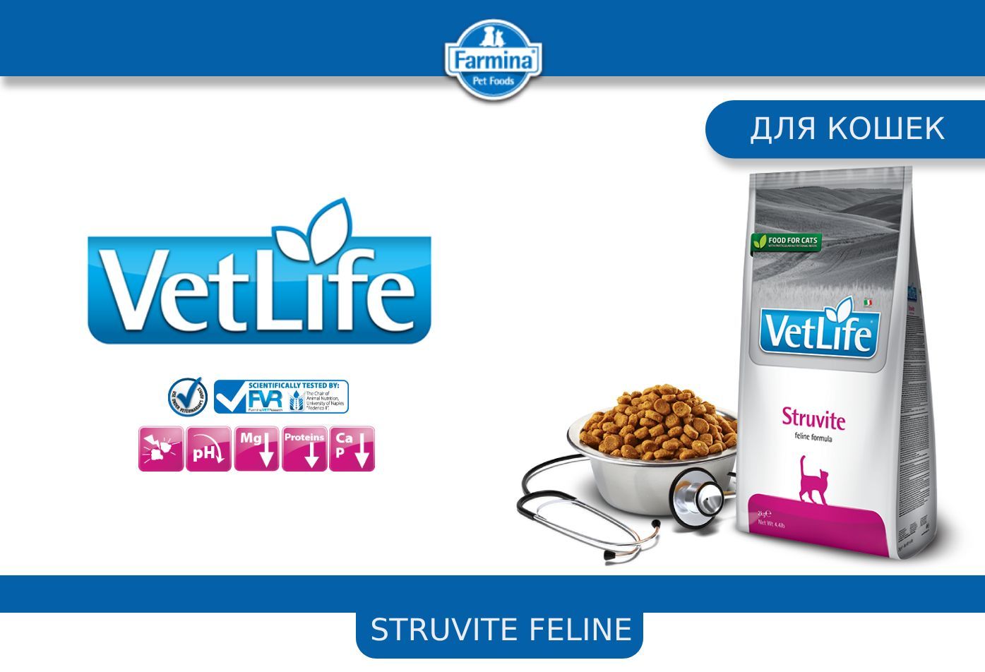 Farmina vet life struvite cat