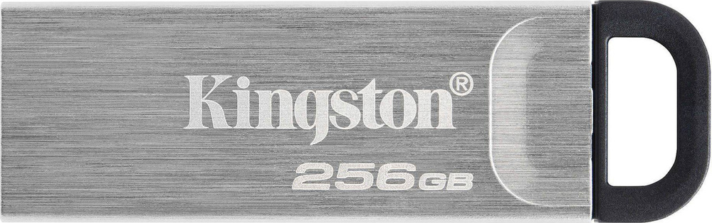 256 ГБ Флэш-накопитель Kingston DataTraveler Kyson, USB 3.2 (DTKN/256GB), металлический  #1