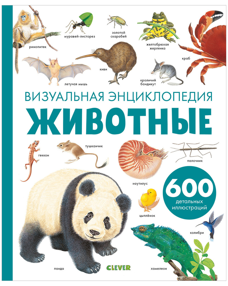 Животные. Визуальная энциклопедия для детей. 600 детальных иллюстраций | Бадреддин Дельфин  #1