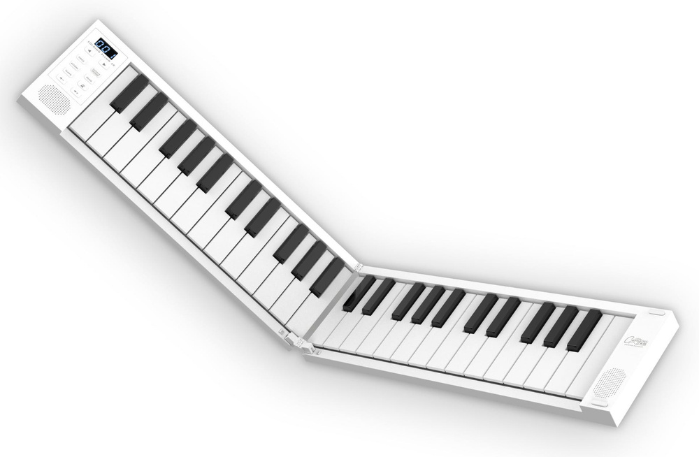 Складное портативное фортепиано Blackstar Carry-On 49 Wh #1