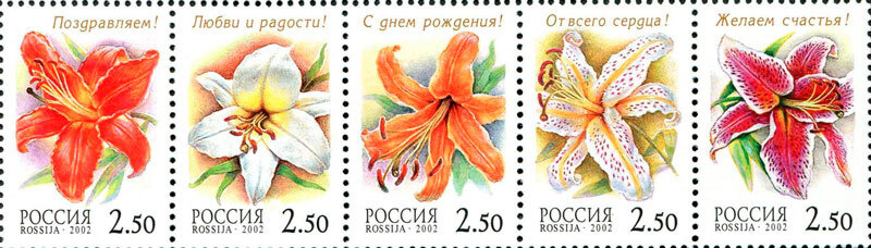 (2002-016-20) Сцепка (5 м) Россия "Лилии" Флора. Лилии III негашеная  #1