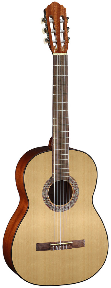 Классическая гитара CORT AC100-SG #1