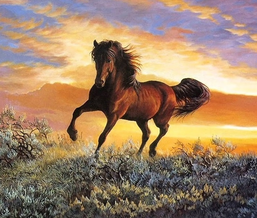 Картина по номерам 40х50 на холсте Горделивый конь #1