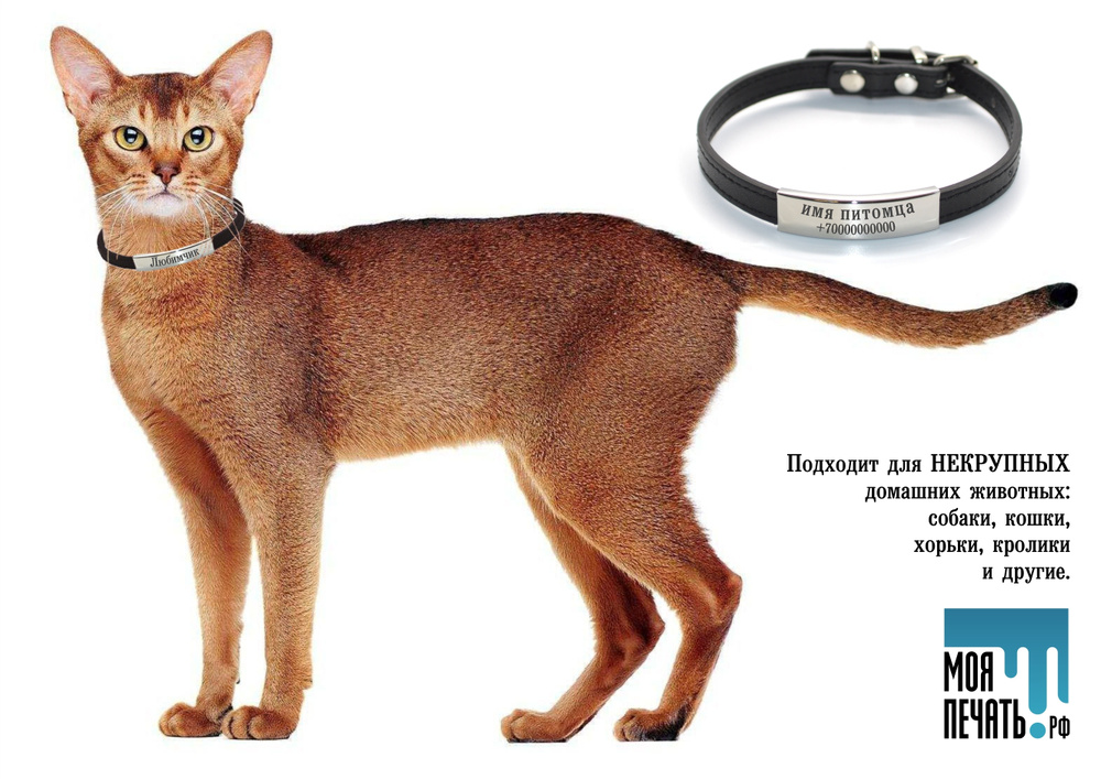 БАРС ошейник для кошек от блох и клещей, 35 см.