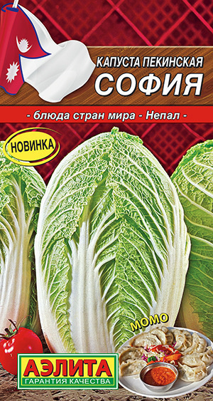 Капуста Пекинская София 55 дней #1