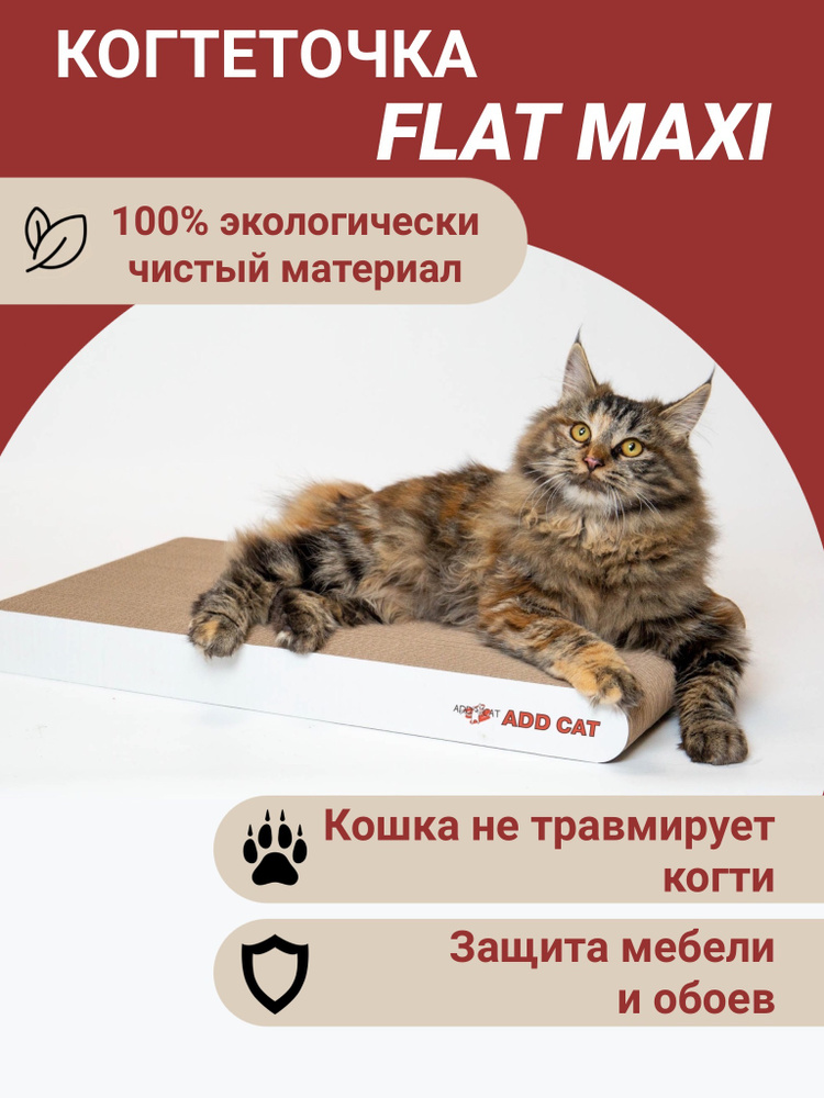 Когтеточка для кошек из картона "Flat maxi", 56*30*5см, лежанка для кошек  #1