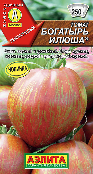 Томат Богатырь Илюша раннеспелый 90 дней полосатый крупноплодный  #1