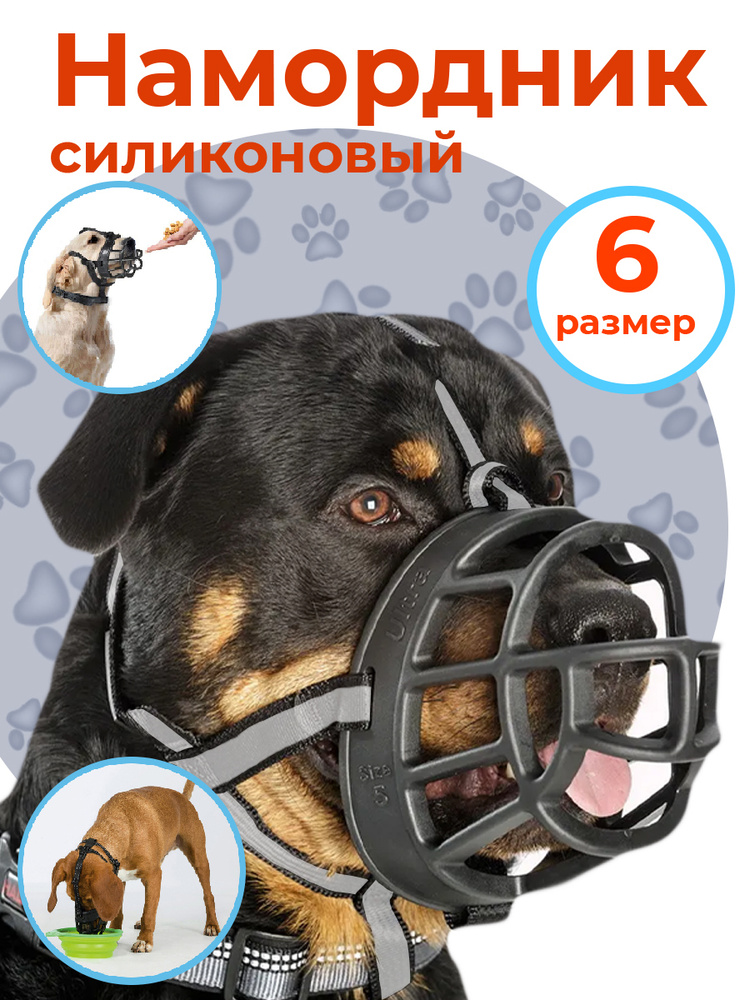 Размер 6 Силиконовый намордник для собак крупных пород - купить с доставкой  по выгодным ценам в интернет-магазине OZON (1276708705)