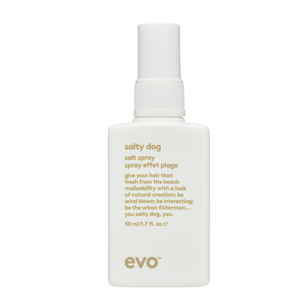 Evo salty dog salt spray - Текстурирующий спрей 50 мл #1