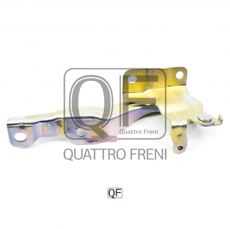 QF Quattro Freni Петля капота арт. QF72G00014 #1