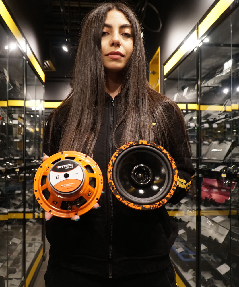 Колонки автомобильные 16 см динамики DL Audio Gryphon Lite 165 V.2 ...