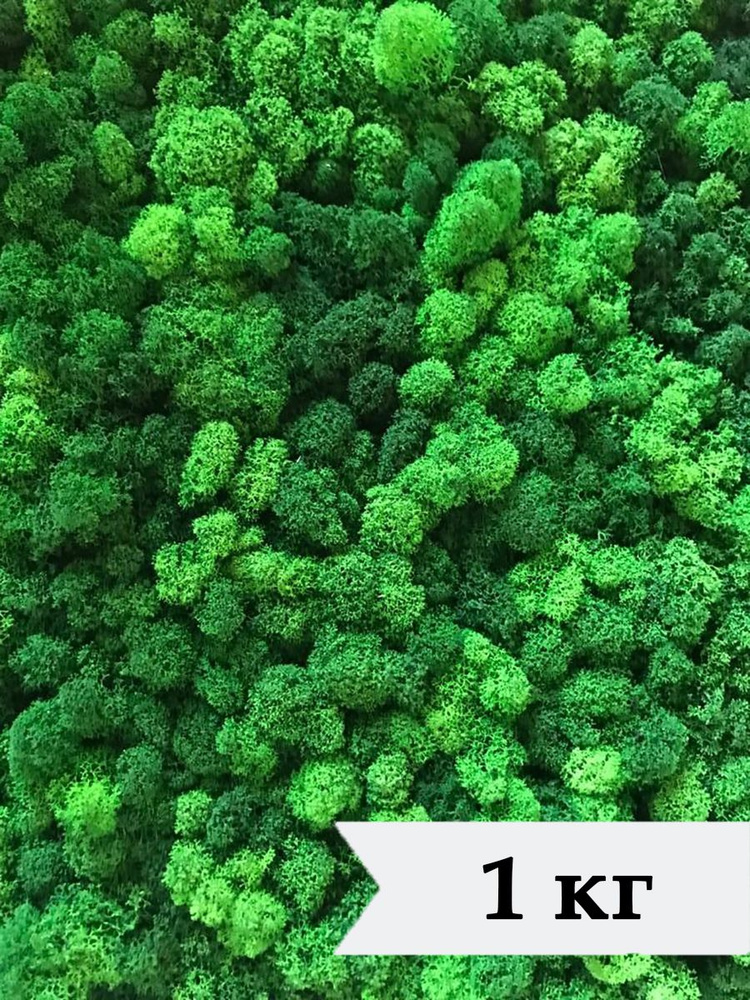 Стабилизированный мох ягель 1 кг зеленый/мох для декора, дизайна, озеленения и флористики/лесной, живой, #1