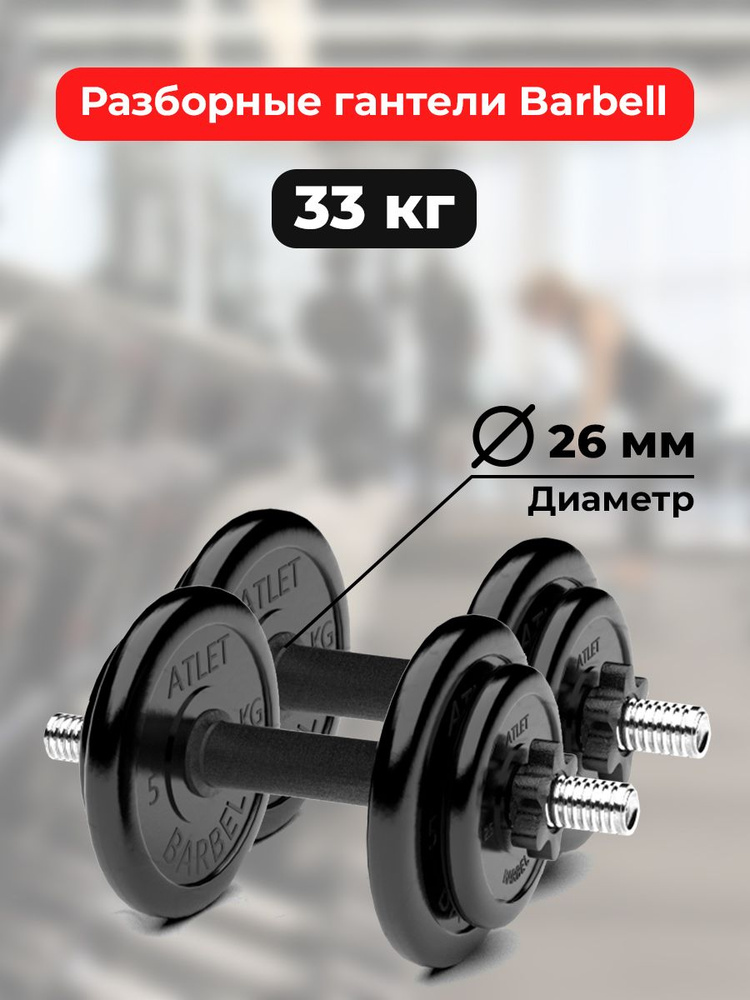 Гантели 16,5 кг - 2шт MB Barbell разборные #1