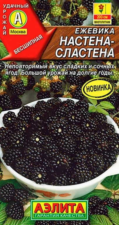 Ежевика НАСТЕНА-СЛАСТЕНА Аэлита многолетний, морозостойкий ягодный кустарник высотой 190-200 см, неповторимый #1