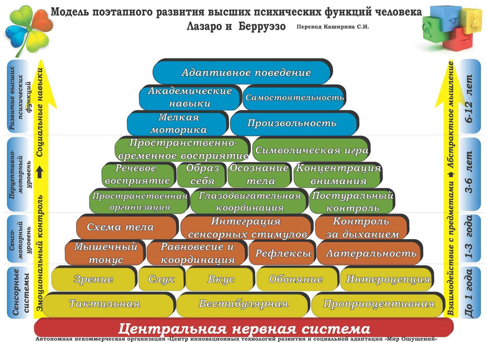 Модель поэтапного развития высших психических функций человека  #1