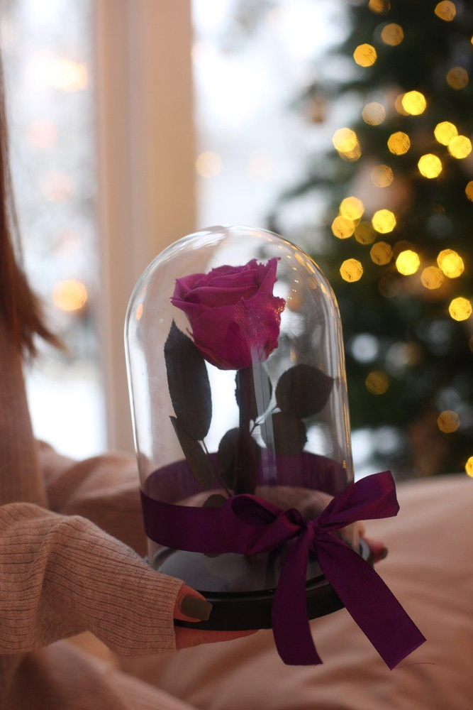 Стабилизированные цветы в стекле, Роза в колбе живая Glamur фиолетовая, подарочный набор для женщины, #1
