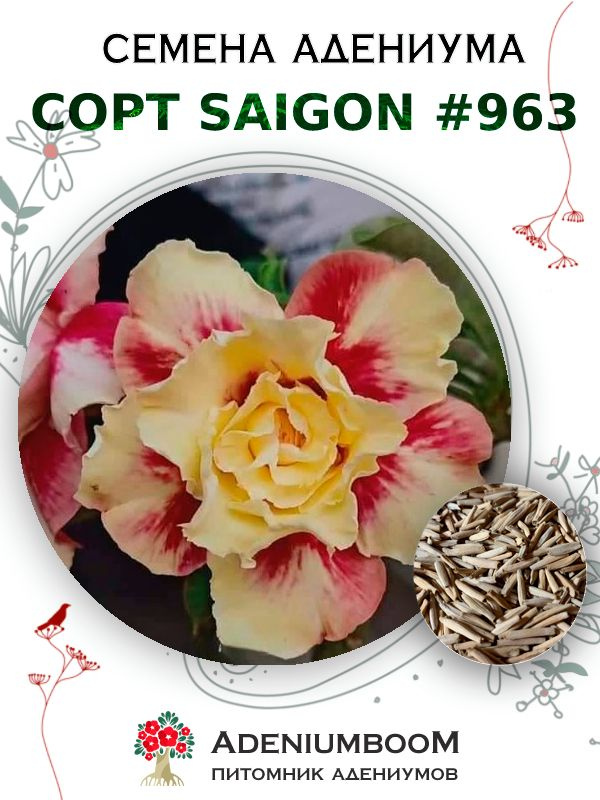 Семена Адениума Обесум от Saigon Adenium #963 (4шт.) / семена цветов комнатных суккулентов, набор семян #1