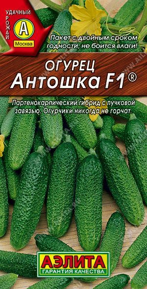 Огурец Антошка F1, семена, 10 шт. #1