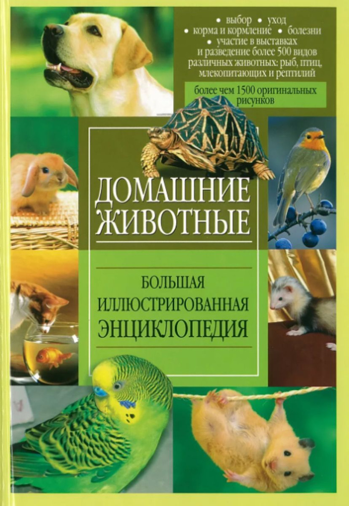 Домашние животные. Большая иллюстрированная энциклопедия | Чибисова Ольга Ильинична  #1