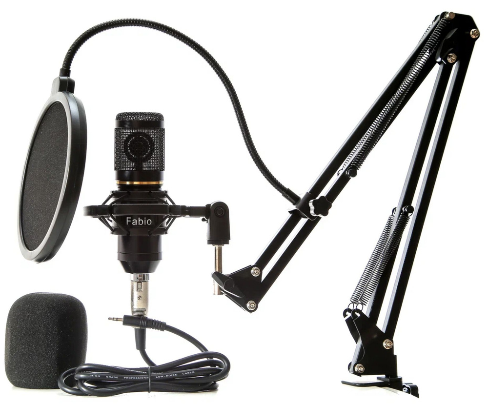 Черный Конденсаторный студийный микрофон 30Hz - 2000Hz со стойкой и поп-фильтром компьютерный игровой #1