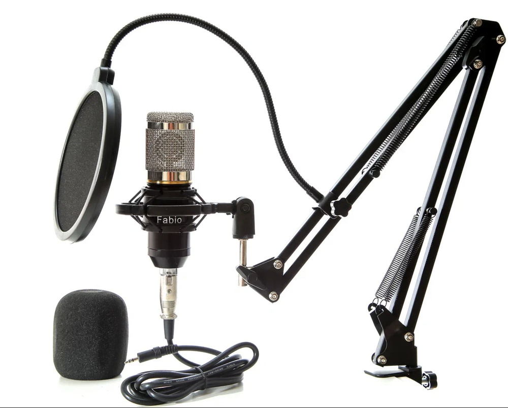 Серый Конденсаторный студийный микрофон 30Hz - 2000Hz со стойкой и поп-фильтром компьютерный игровой #1