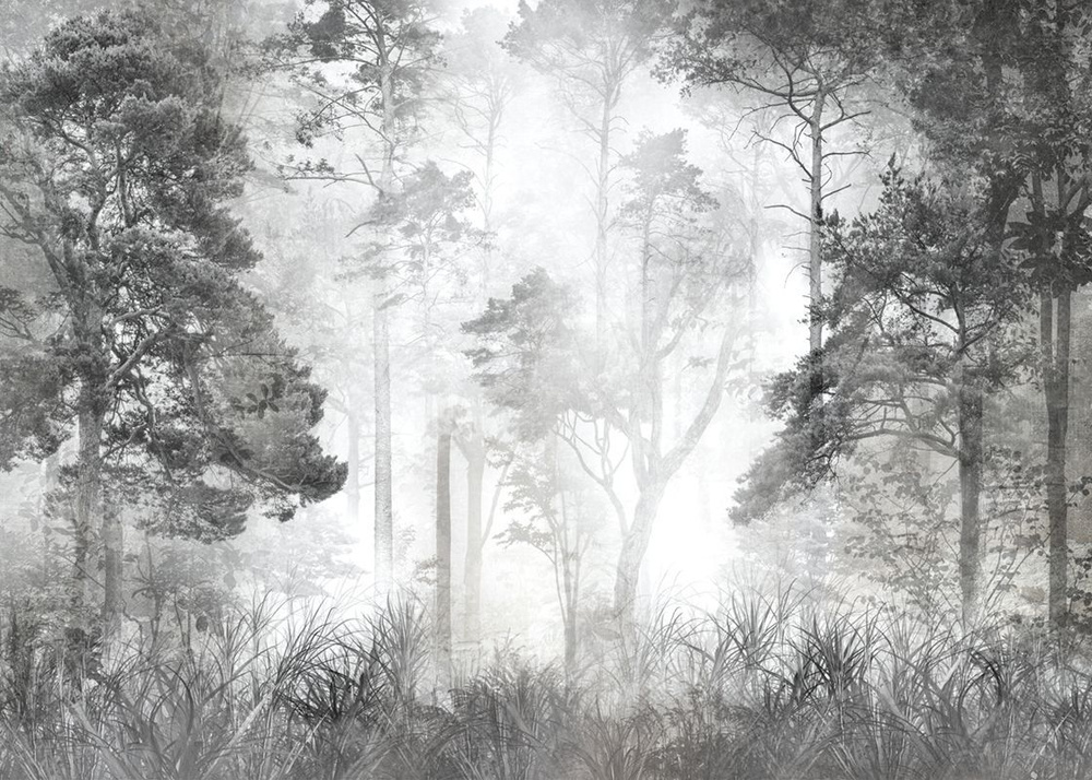 Фотообои флизелиновые на стену 3д GrandPik 10257 "Лес в тумане" см(ШхВ), 350х250 см  #1