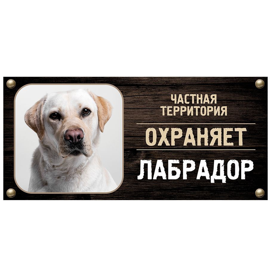 Табличка, Злая собака, Территорию охраняет Лабрадор, на металлической основе, 30см х 14 см, на забор, #1